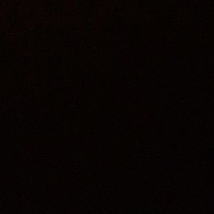 Meet your Posher, Griffin